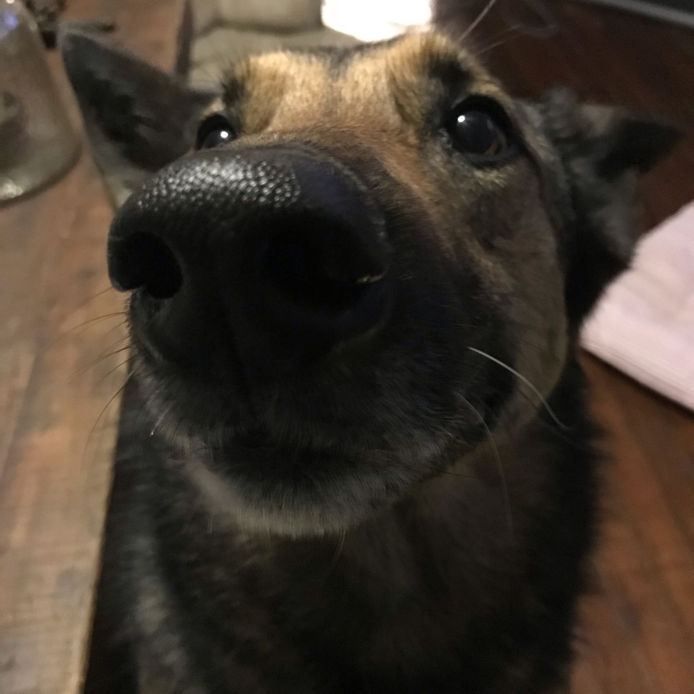 Meet your Posher, Sonya